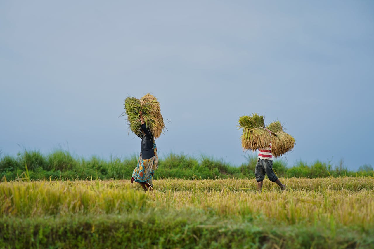 Start your Thai Binh Travel with tranquil vistas